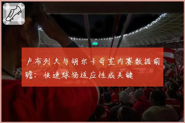 卢布列夫与胡尔卡奇室内赛数据前瞻：快速球场适应性成关键